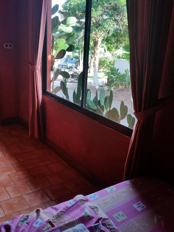 Hotel Cabinas Mar Y Cielo 몬테주마 객실 사진
